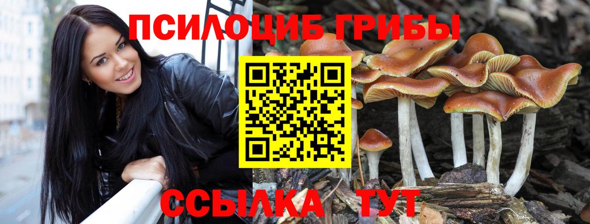 Галлюциногенные грибы мицелий Лангепас